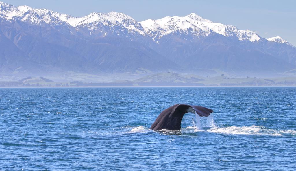 The Factory Luxury Kaikoura